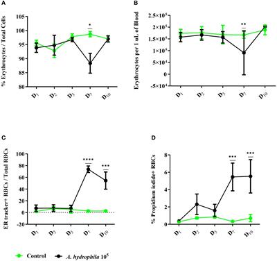 Erythrocytes of the common carp are immune sentinels that sense pathogen molecular patterns, engulf particles and secrete pro-inflammatory cytokines against bacterial infection